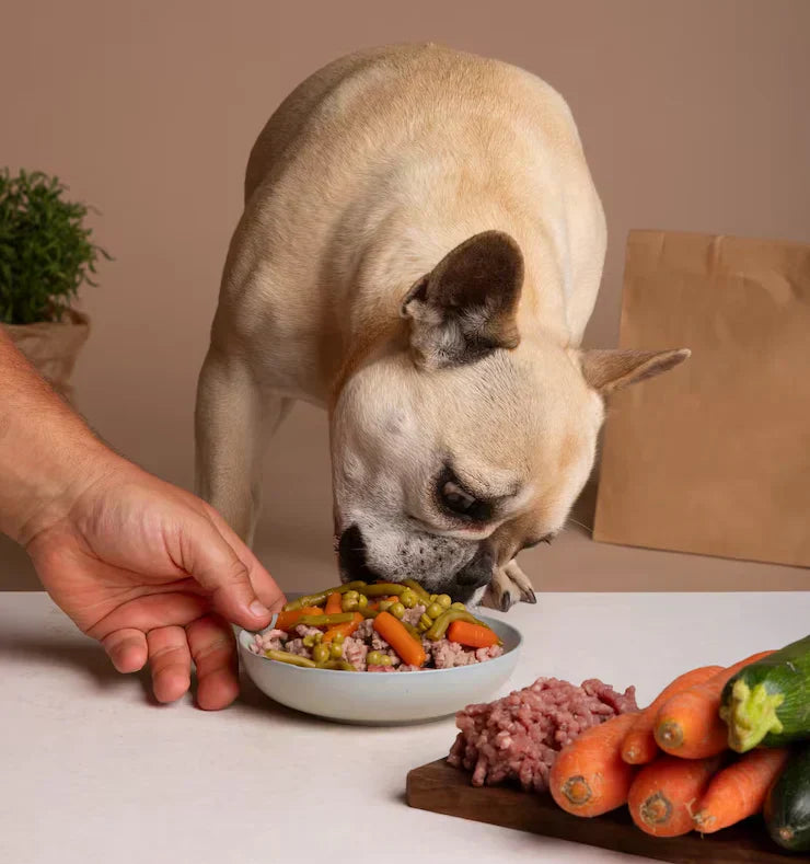 Introducing WholeBuddy's Peptide+: The Next Generation of Dog Nutrition