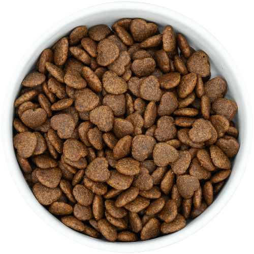 Peptide+ Gastrointestinal Digestive Care