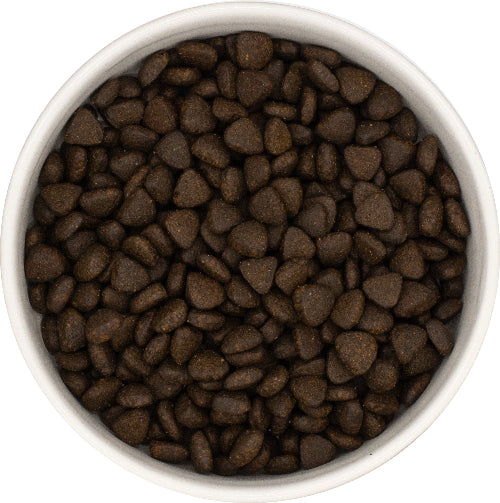 Superfood 65 Scottish Salmon with Dill, Spinach, Fennel, Asparagus & Tomato Small Breed