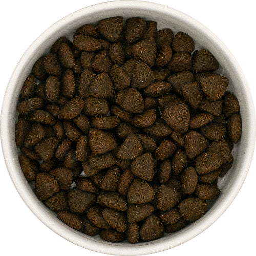 Superfood 65 Scottish Salmon Senior Light