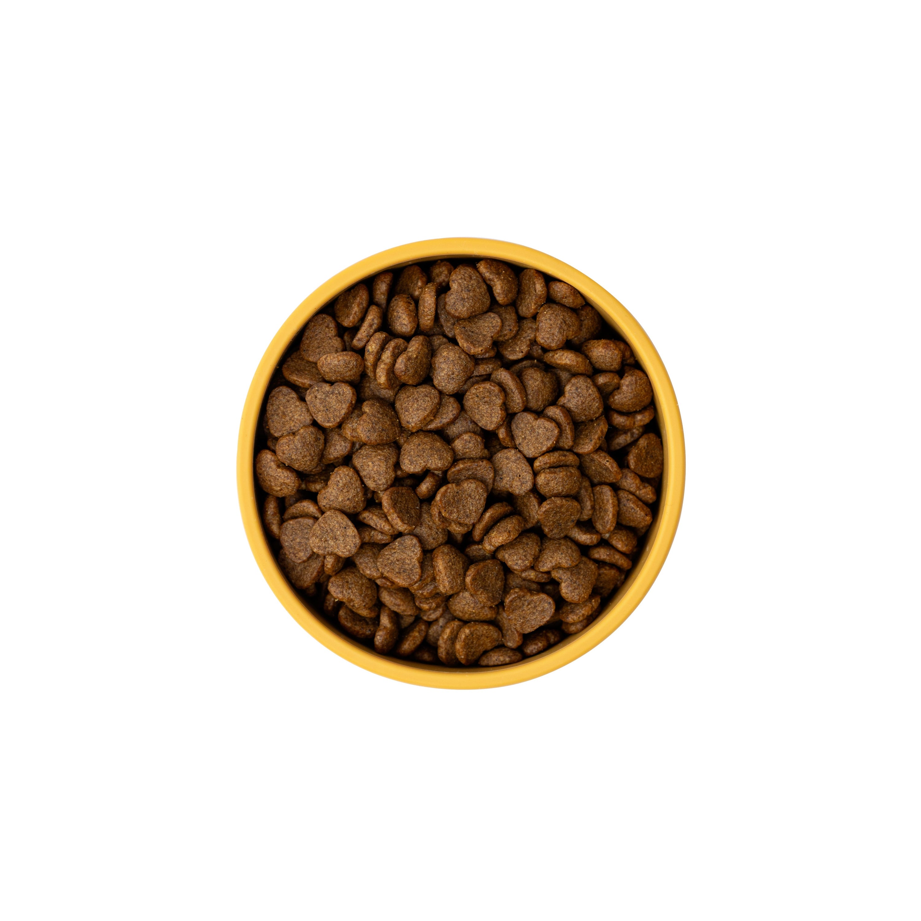 What is in Your Pet's Food Bowl?