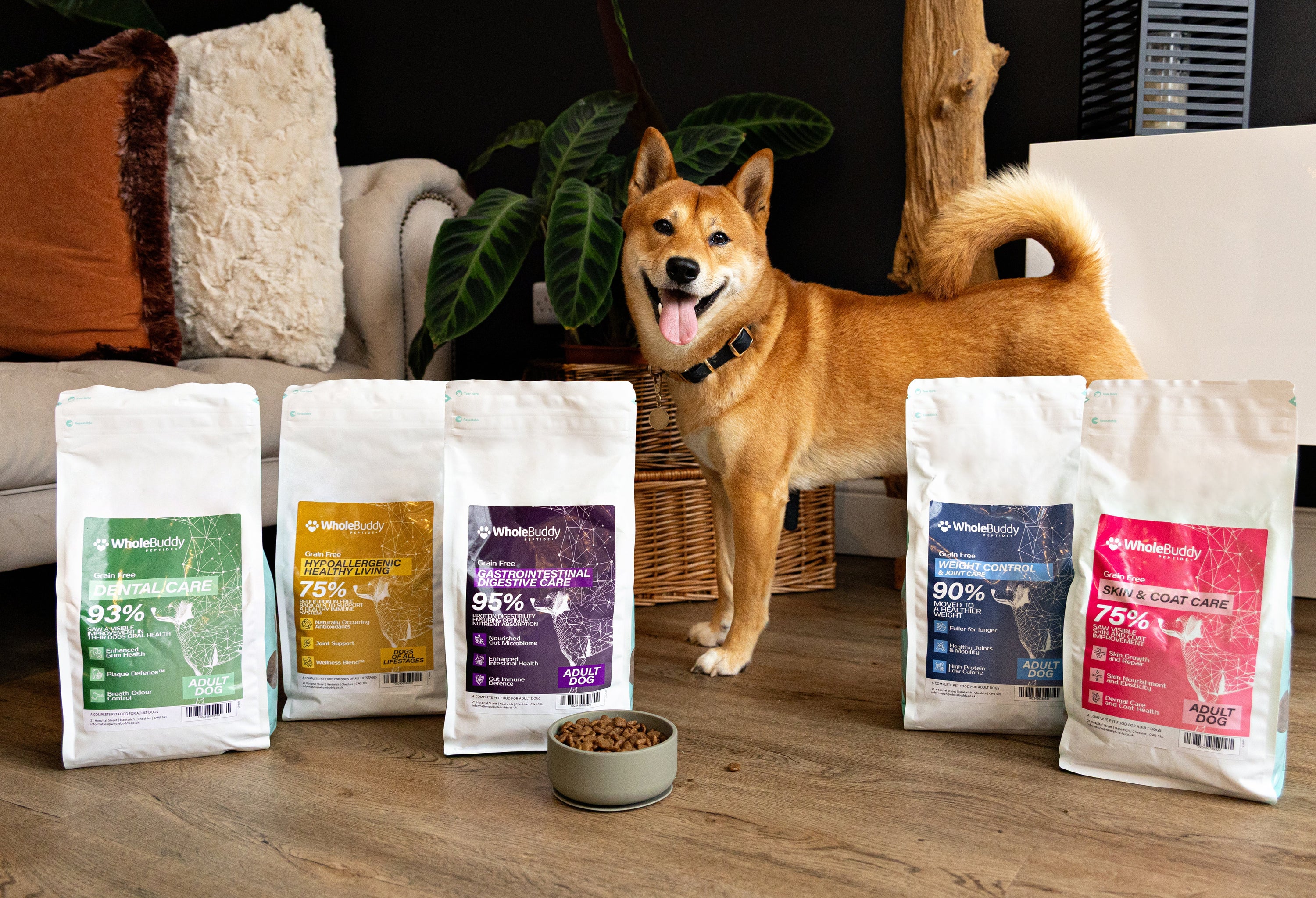 Hypoallergenic Pet Food: Why WholeBuddy's Peptide+ Range Is the Smart Choice for Sensitive Dogs