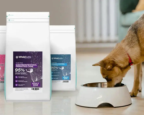 Hypoallergenic Pet Food: Why WholeBuddy's Peptide+ Range Is the Smart Choice for Sensitive Dogs
