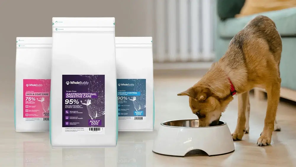 Hypoallergenic Pet Food: Why WholeBuddy's Peptide+ Range Is the Smart Choice for Sensitive Dogs
