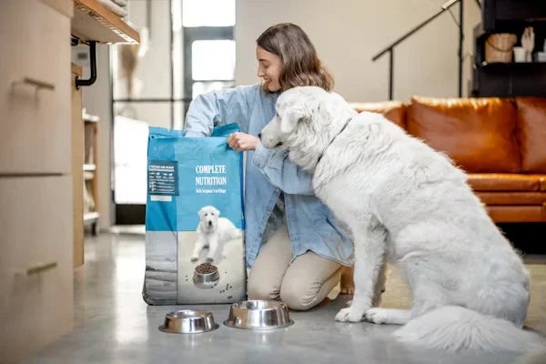 10 Common Dog Health Problems and How to Prevent Them