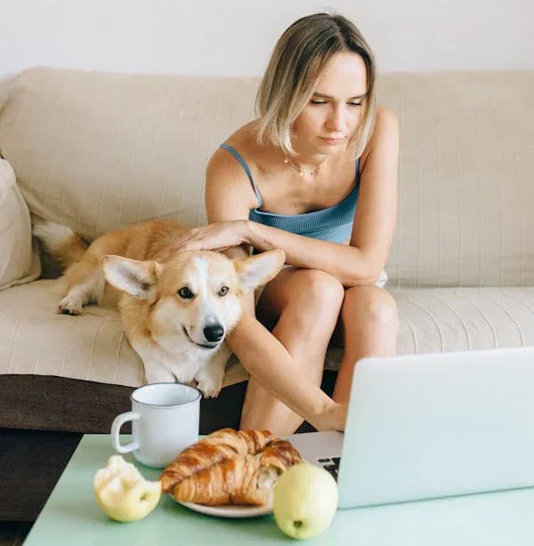 10 Human Foods That Are Safe (and Unsafe) for Dogs and Cats