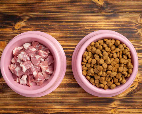 Wet vs. Dry Cat Food: Which One is Best for Your Feline Friend?