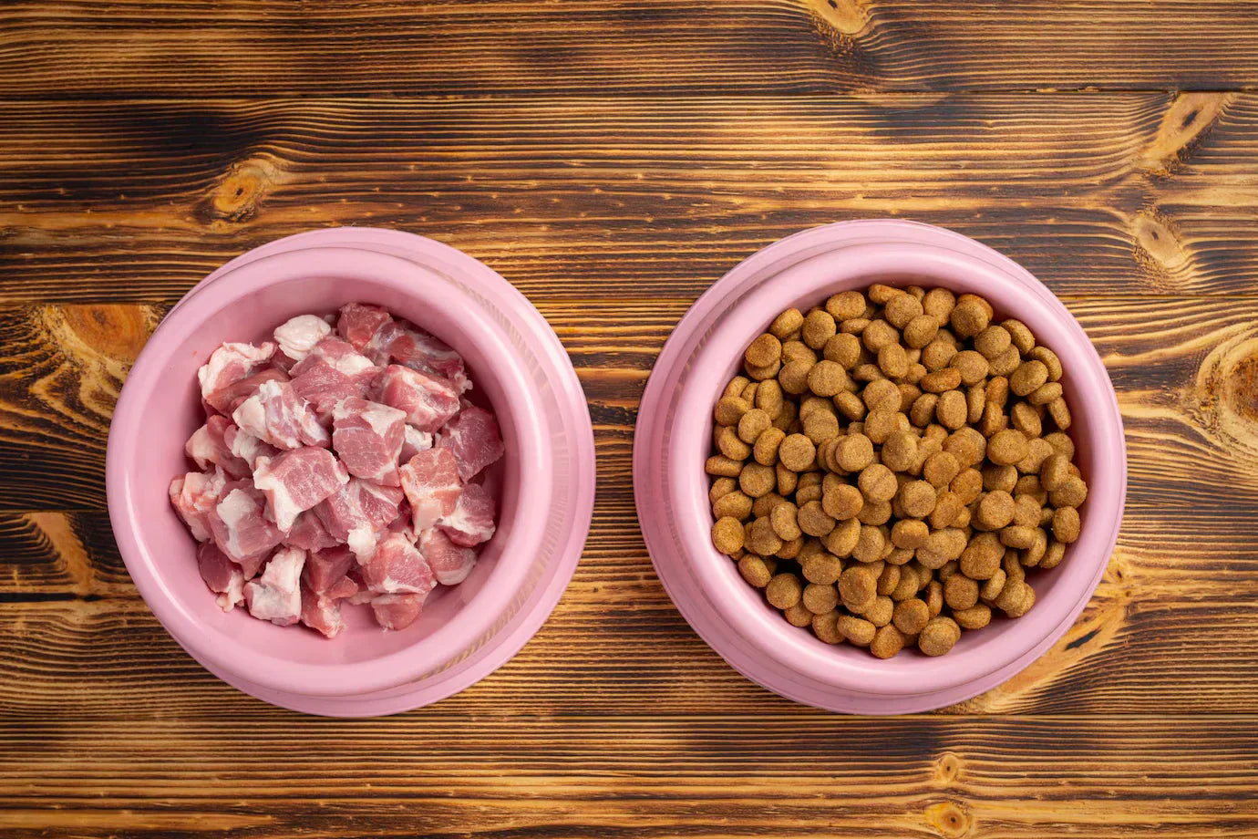 Wet vs. Dry Cat Food: Which One is Best for Your Feline Friend?
