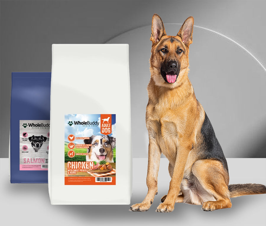All Dog Food