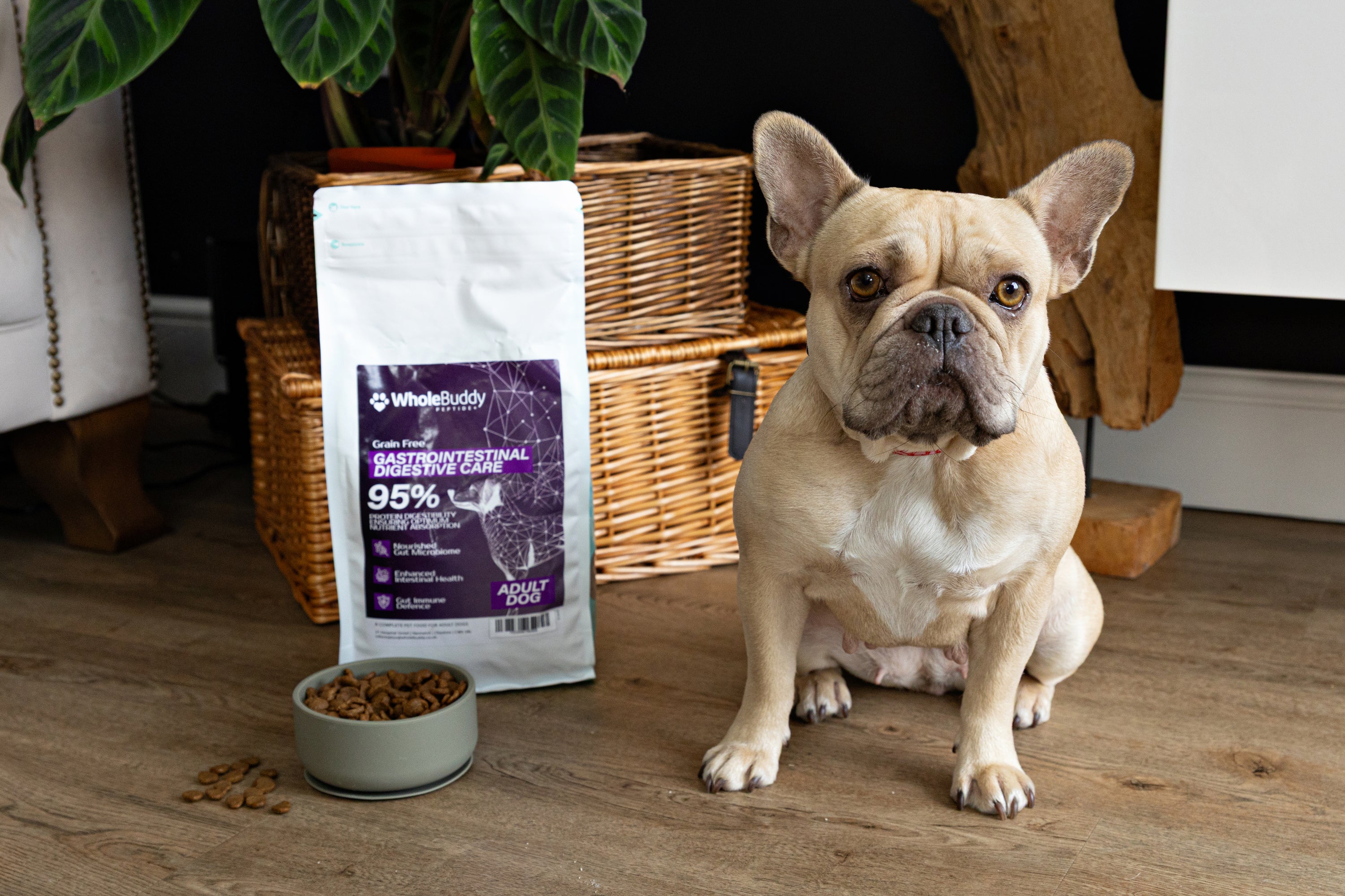 Peptide+ Gastrointestinal Digestive Care