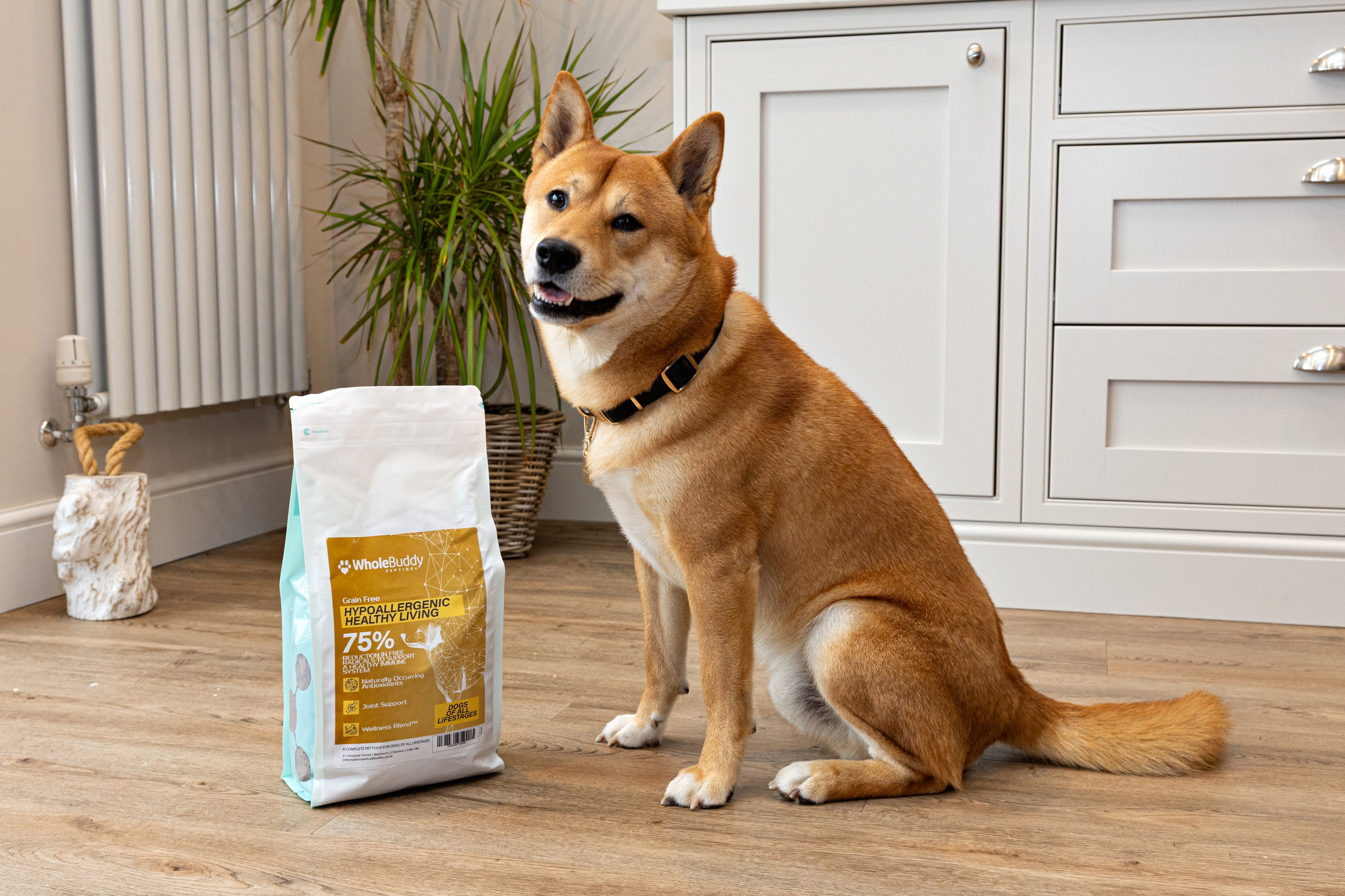 WholeBuddy Peptide+ Healthy Living