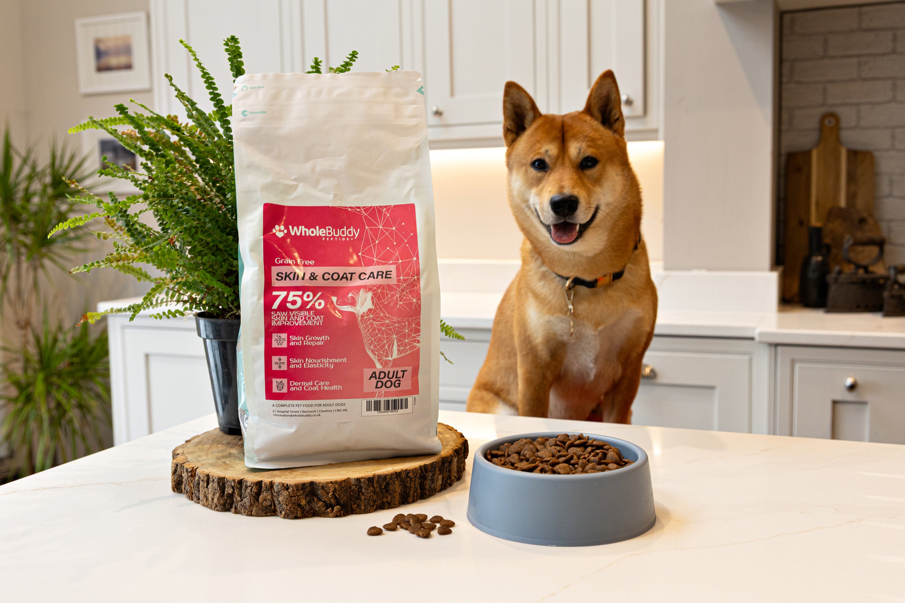 Peptide+ Skin & Coat Care