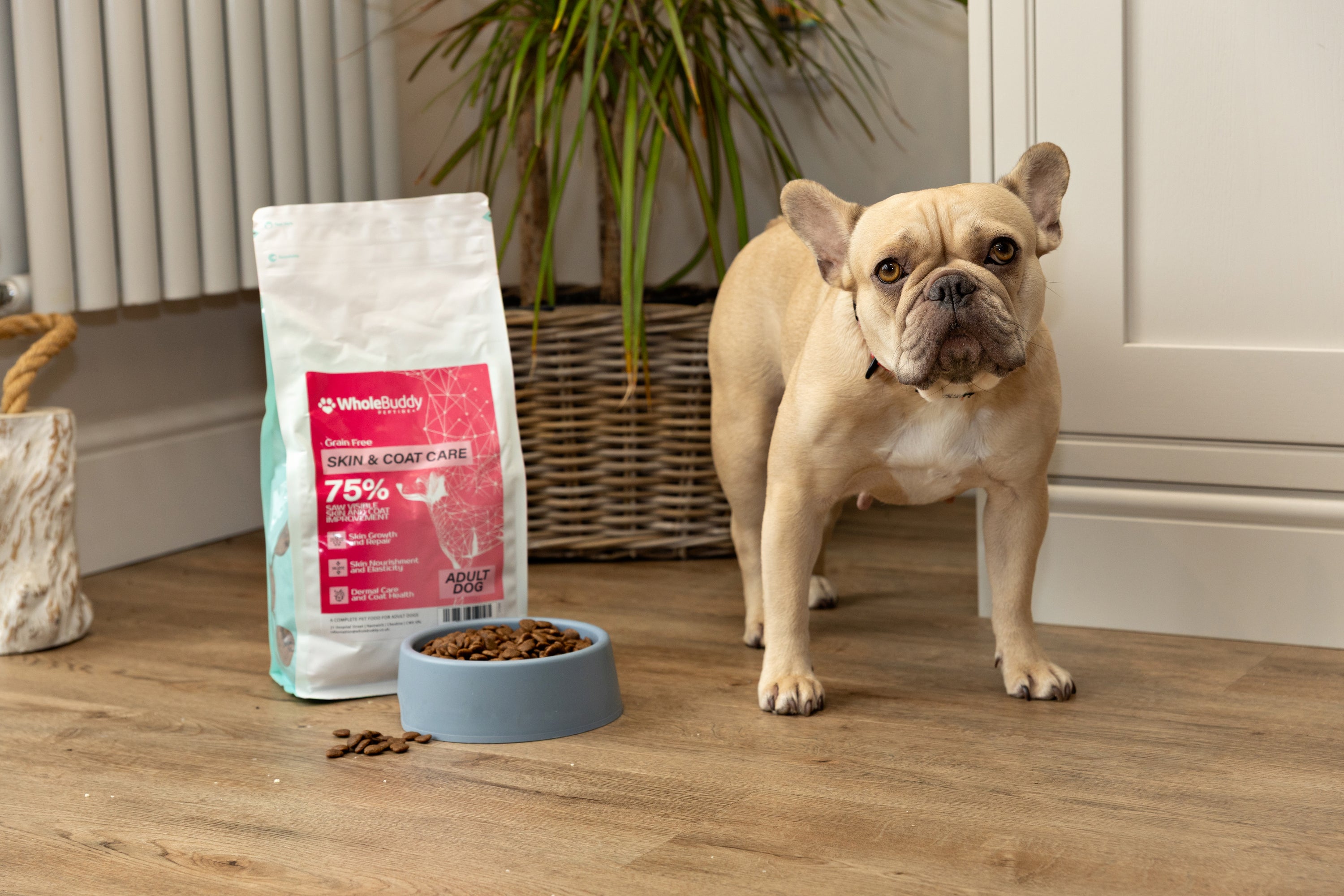 Peptide+ Skin & Coat Care