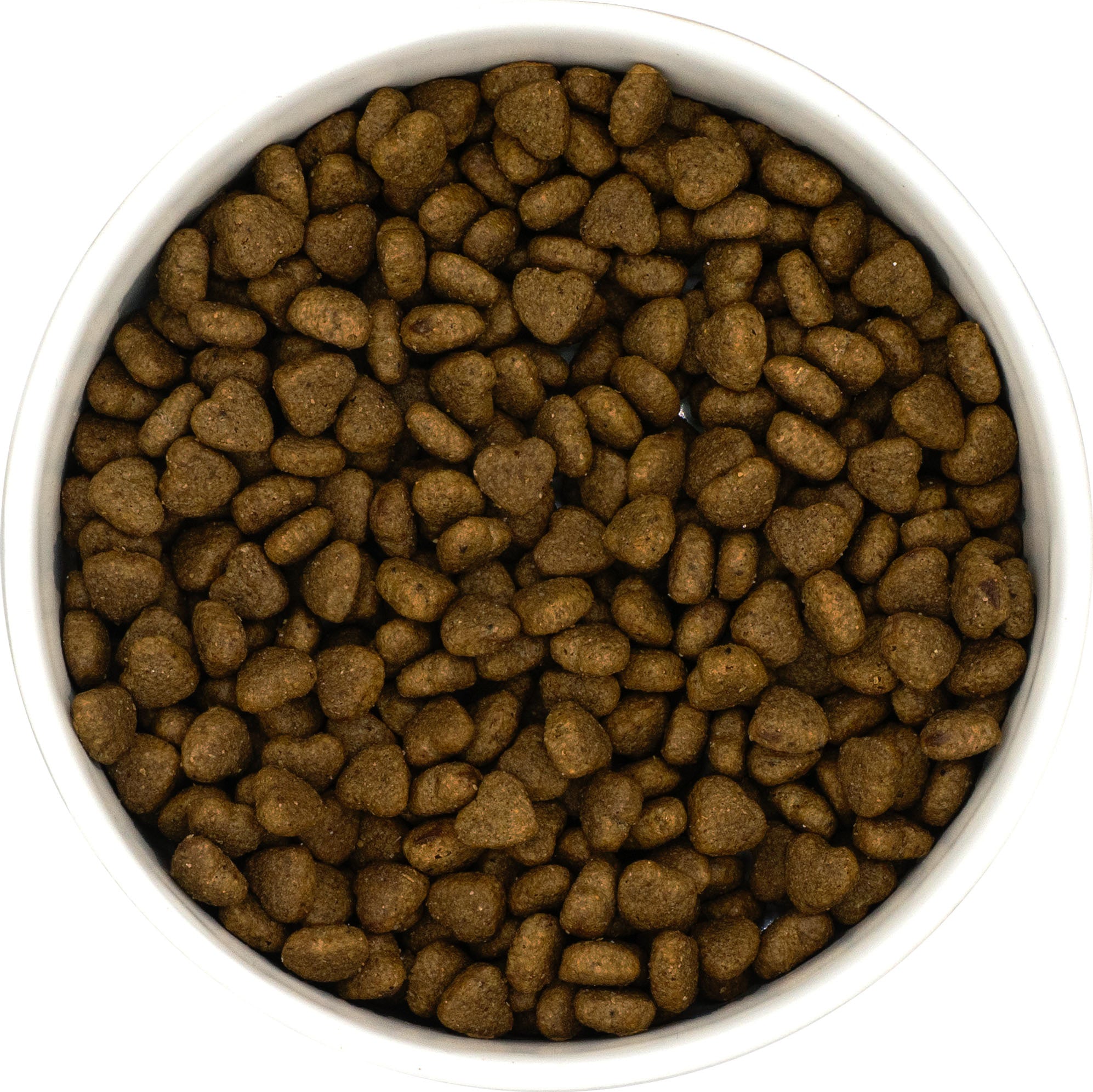 WholeBuddy Peptide+ Cat: Gastrointestinal Digestive Care