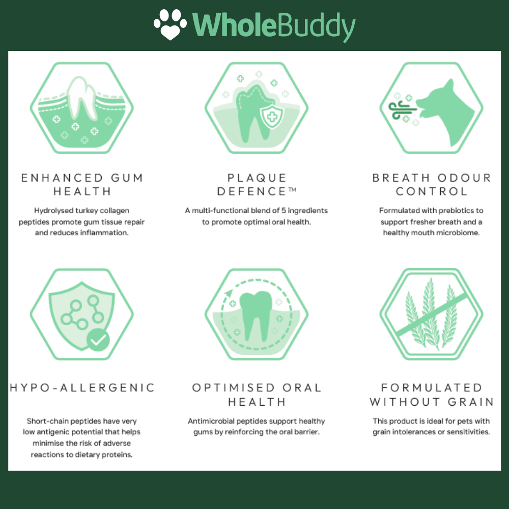 NEW! WholeBuddy Peptide+ Dental Care