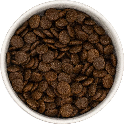 Grain Free Chicken with Sweet Potato & Herbs