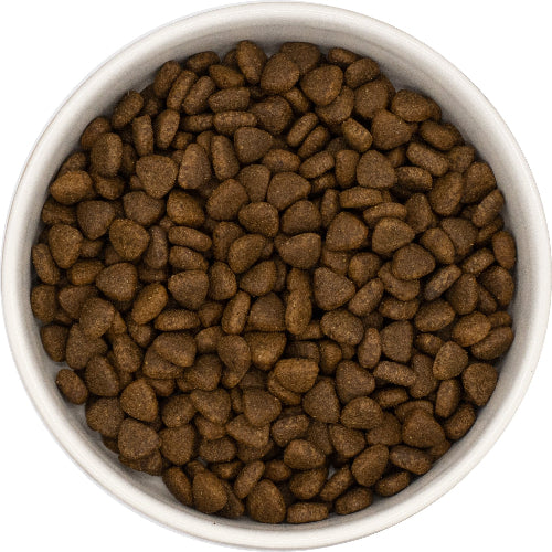 Superfood 65 Turkey with Parsley, Papaya, Nettle, Zucchini & Pumpkin Small Breed Adult Dog