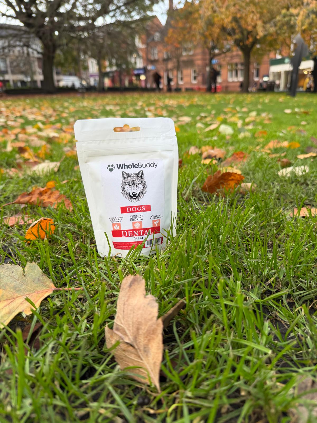 WholeBuddy Dental Treats