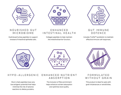 Peptide+ Gastrointestinal Digestive Care